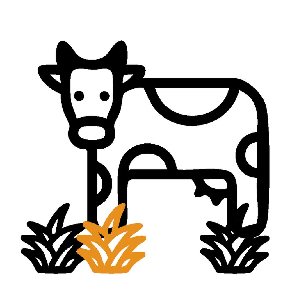 Bien-être animal